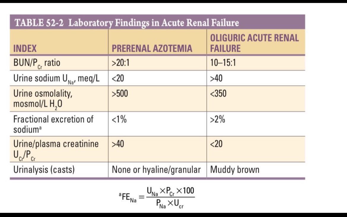 ⁉️How to differentiate pre-renal AKI from ATN (acute tubular necrosis)

👇Harrison