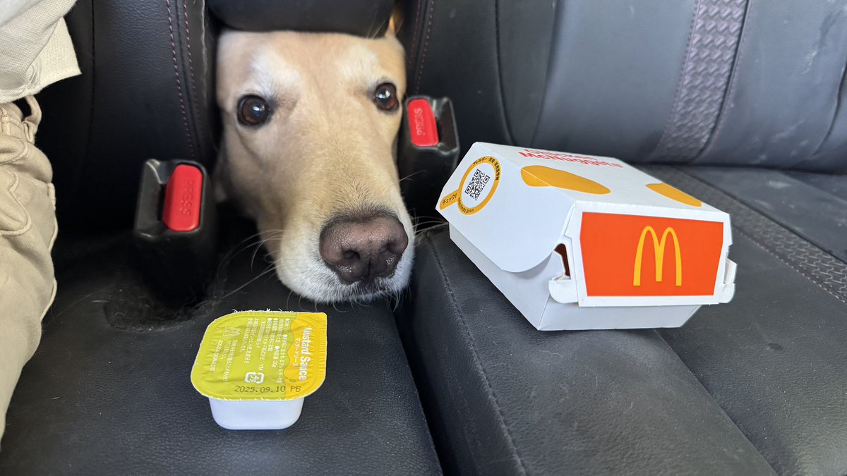 隙間から嗅ぎつけてきた