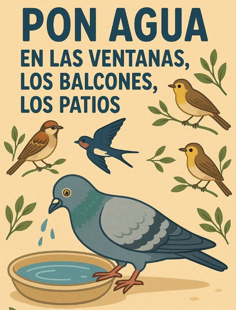 En verano, ya sabes 🦜🥤