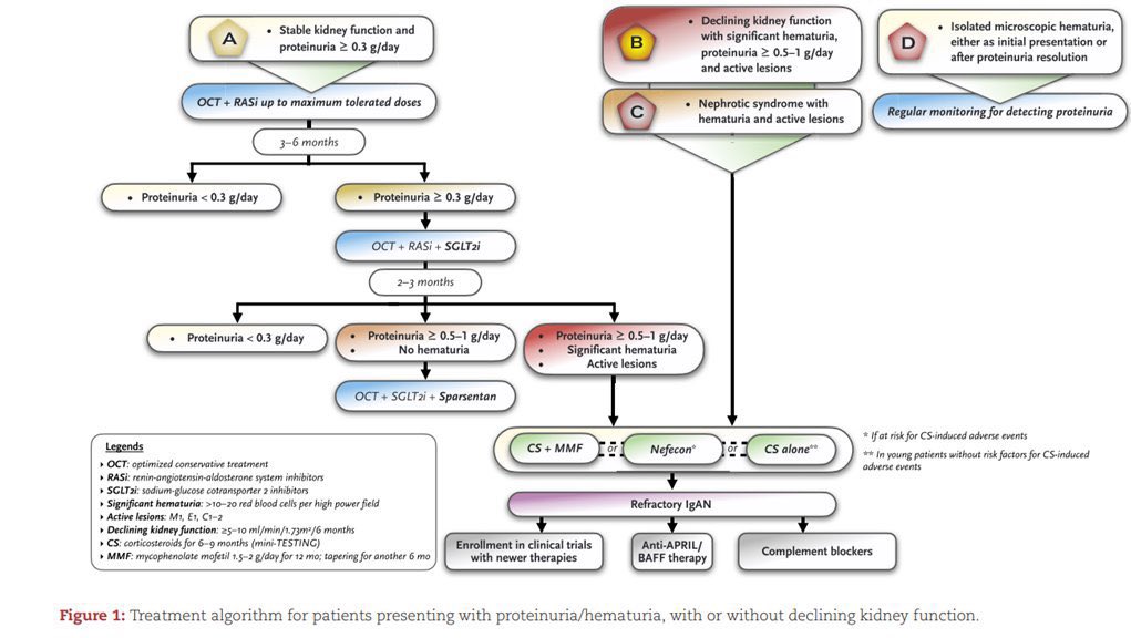 🩺 Management of IgA Nephropathy

doi.org/10.1093/ndt/gf…

<a href="/NDTsocial/">NDT</a> <a href="/hjanders_hans/">Hans-Joachim Anders</a>