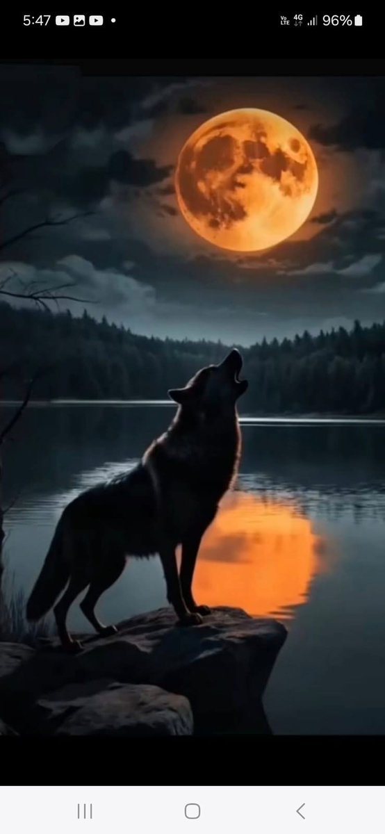 Lord Neom 🐯💞 (@neom_e) on Twitter photo 