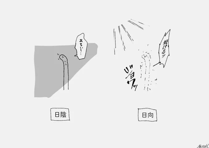 最近これ 