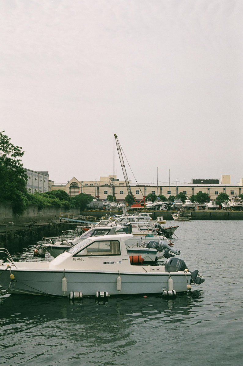 yamsan's tweet photo. YAMPHTO, CONTAX G1CONTAX G1と宇部港の埠頭に並ぶ漁船など2
https://t.co/xsvrvz9s1g

#フィルム写真
#フィルムカメラ
#filmcamera
#35mm
#filmphotography 
#FUJIFILM
#FJICOLOR100
#contax
#contaxG1
#CarlZeiss
#Biogon28mm28 
#Biogn https://t.co/y2fZnTemcl