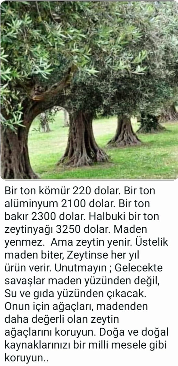 #zeytinimedokunma