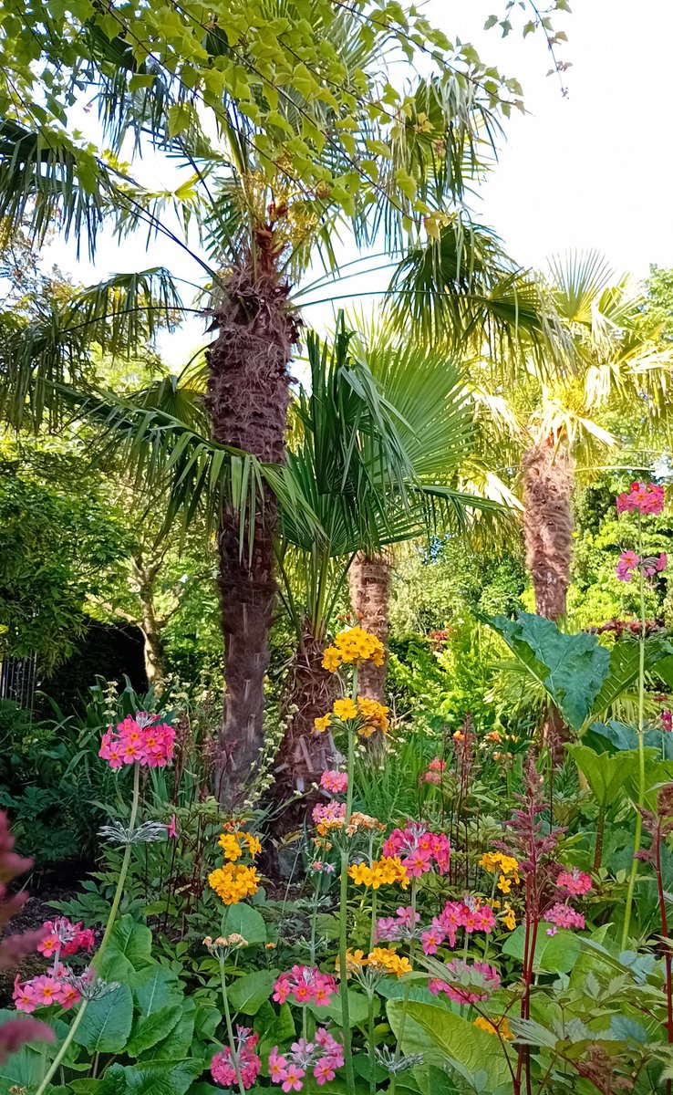 Northern Gardener🌱🇬🇧🏴󠁧󠁢󠁥󠁮󠁧󠁿 tweet media