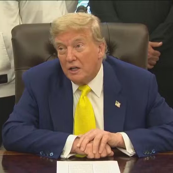 Tupiniquim TV tweet media