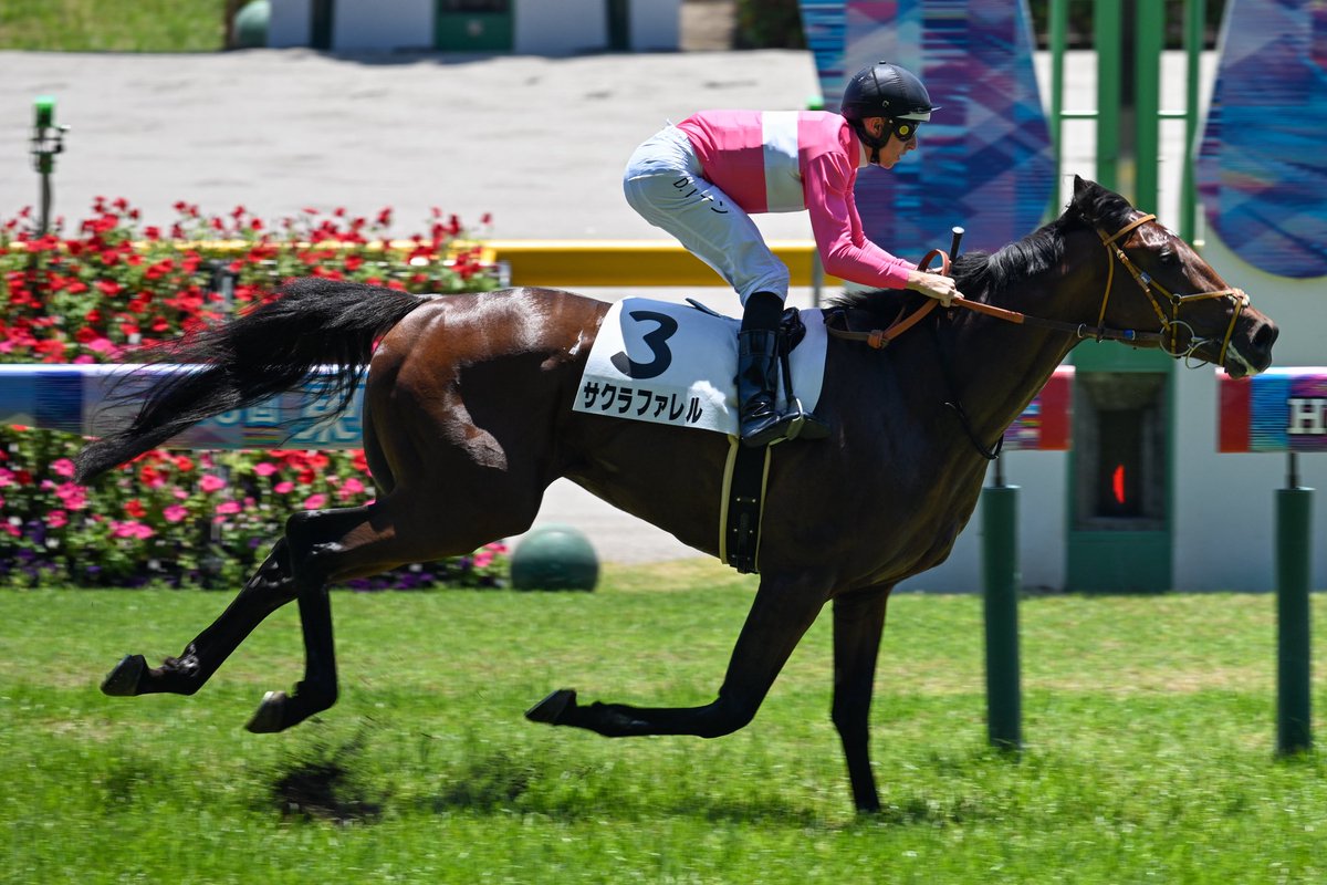 Dレーン D．レーン | 競馬データベース | JRA-VAN World - 海外競馬情報