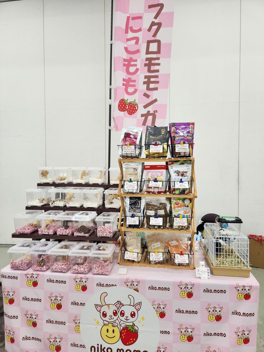ニコモモ☺️活動低飛行⤵✈ さま専用。 7/1まで 7999円 niko.momo (@nikomomo_sg) / X