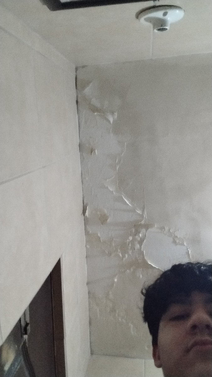 El techo está así desde 2013