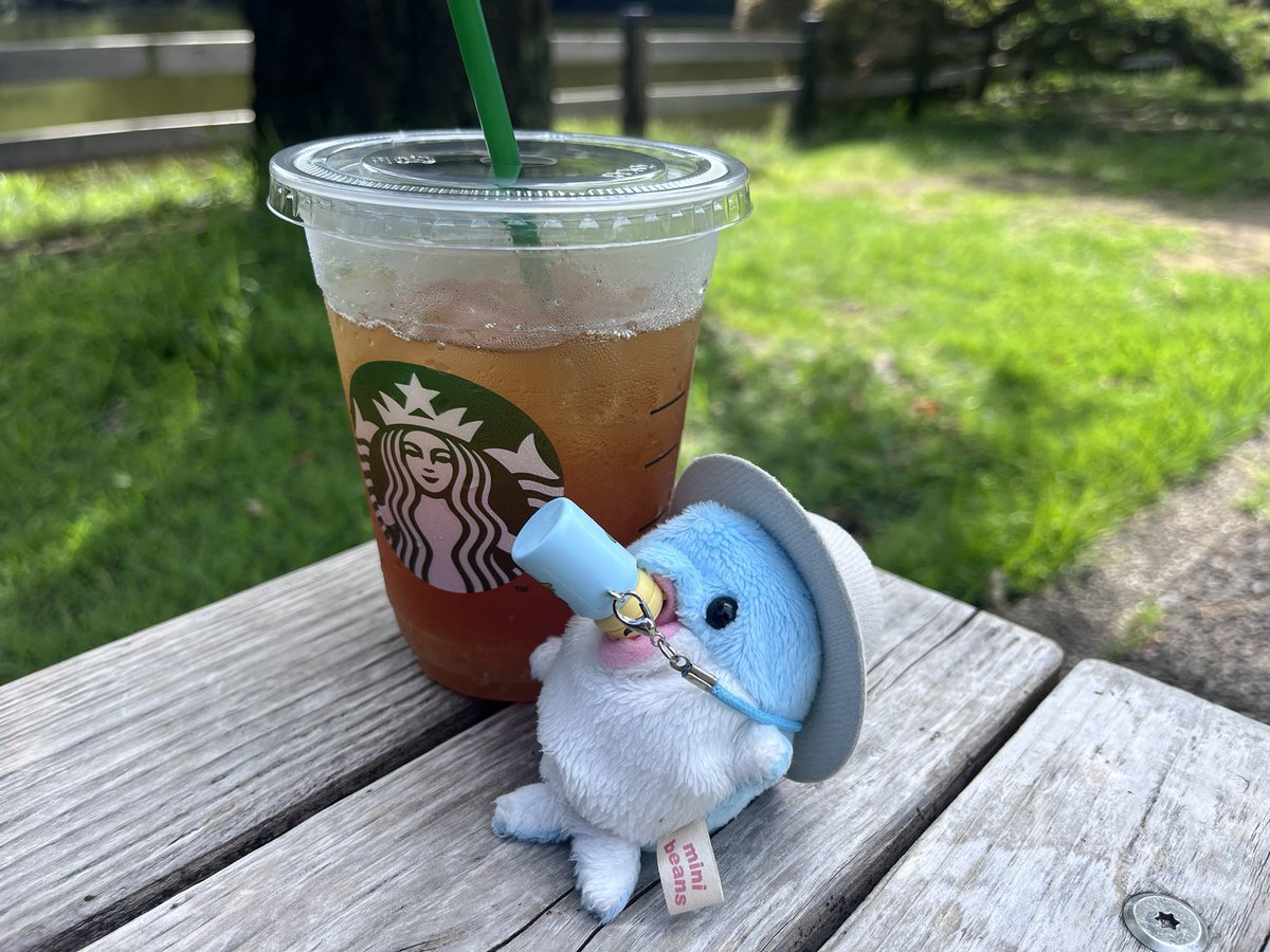 あついね！
すいぶんほきゅ  しようねー

ｺﾞｸｺﾞｸｺﾞｸ…