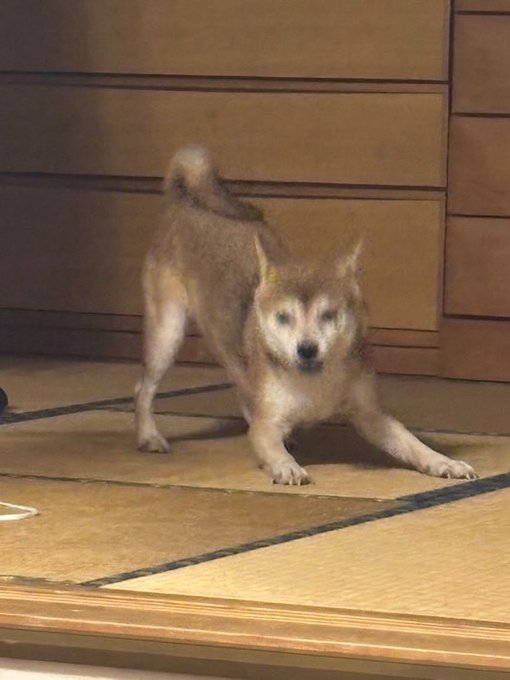 SECOND NUTSのツイート