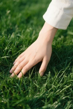 nanatoss127's tweet photo. #openseatouchgrass https://t.co/WqeW8ptEdw