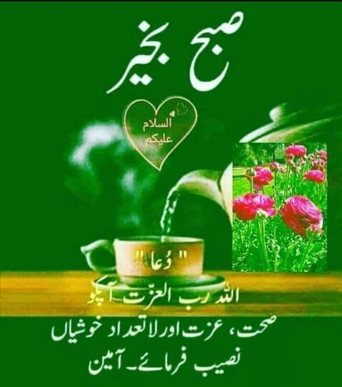 السلام علیکم. 
صبح بخیر ساتھیو 
Have a nice sunday to all of you 
May God bless  happy &amp; joy on you 
<a href="/MirzaSaagr/">Saagr Mirza</a> 
<a href="/TM_LovePak/">TEAM LOVELY PAKISTAN(official )</a> 
<a href="/_Jasmine001/">JASMINE💛✨💛</a> 
<a href="/55imaan/">亗『 ᵀᵉᵃᵐᴸᴸᴾ ایمان 』亗</a> 
<a href="/BiyaRana_PK/">Biya Rana</a> 
<a href="/AbidShah99/">Abid Jan</a> 
<a href="/Azizazjan/">Faiza Khanmᵀᵉᵃᵐᴸᴸᴾ</a> 
<a href="/samissblove/">fizass</a> 
<a href="/Umarayu19369911/">محمد عمر ایوب مدیال</a> 
<a href="/Sararaza21/">سارہ رضآ 🐦‍⬛</a> 
<a href="/N_Ri_da/">𝓡𝓲𝓭𝓪</a> 
<a href="/Afzal240307/">afzal307</a> 
<a href="/amalqa_/">𝔸𝕞𝕒𝕝𝕢𝕒</a> 
<a href="/its_erm_/">eرm</a>
