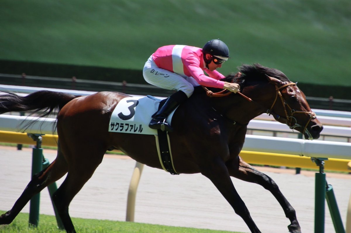 東京4R
サクラファレルとレーン騎手が勝利しました🎉おめでとうございます👏👏👏👏👏👏