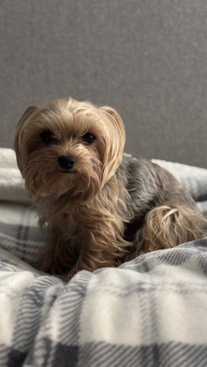 Whats Up Tucson tweet media