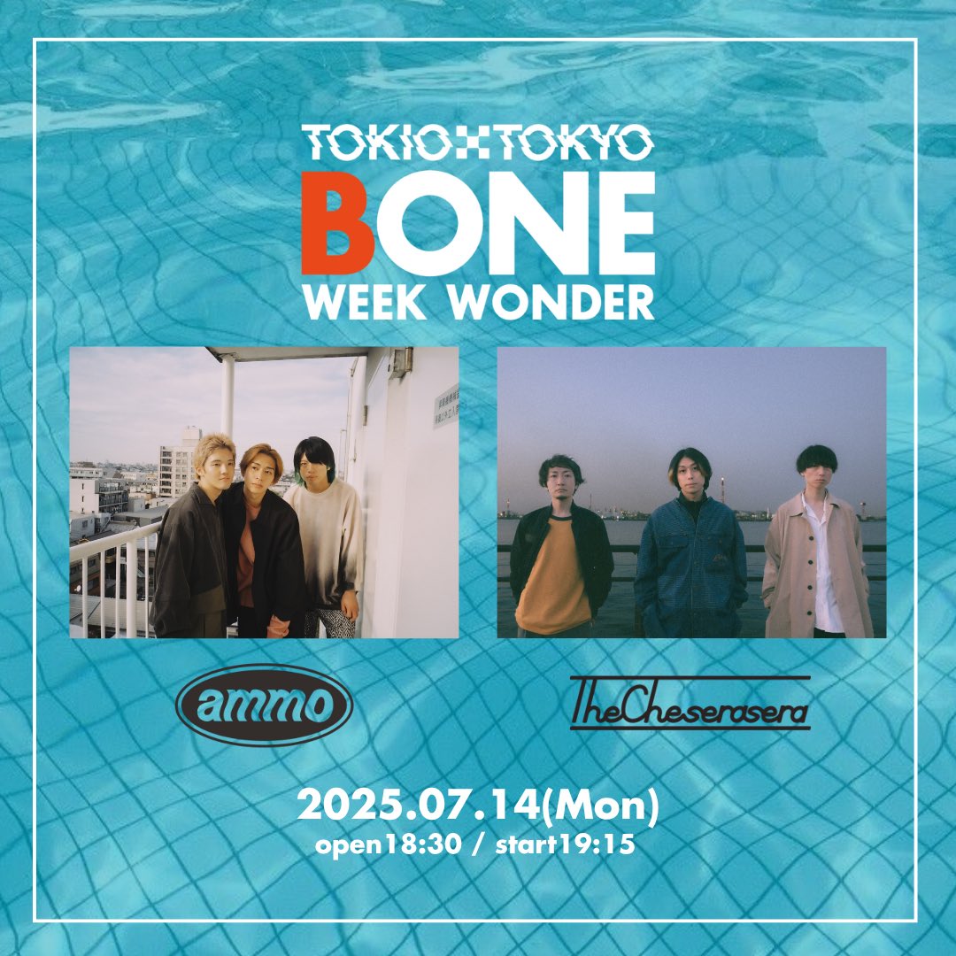 廃盤 The Cheserasera さよなら光 バンド ケセラセラ おまけ付き 廃盤 The Cheserasera さよなら光 バンド ケセラセラ おまけ付き