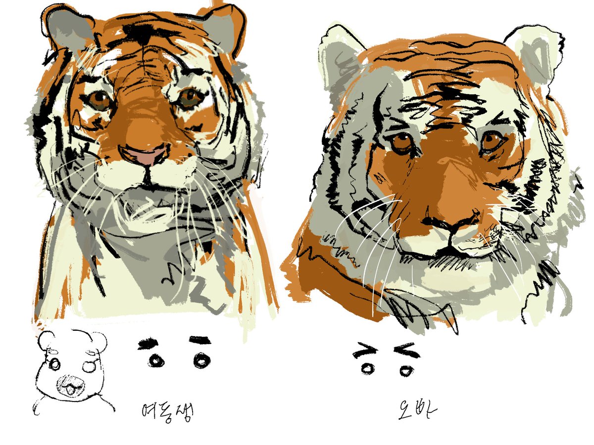 6zAh4hp9yfDeVeE's tweet photo. 태범무궁 https://t.co/rvoipK1RoZ