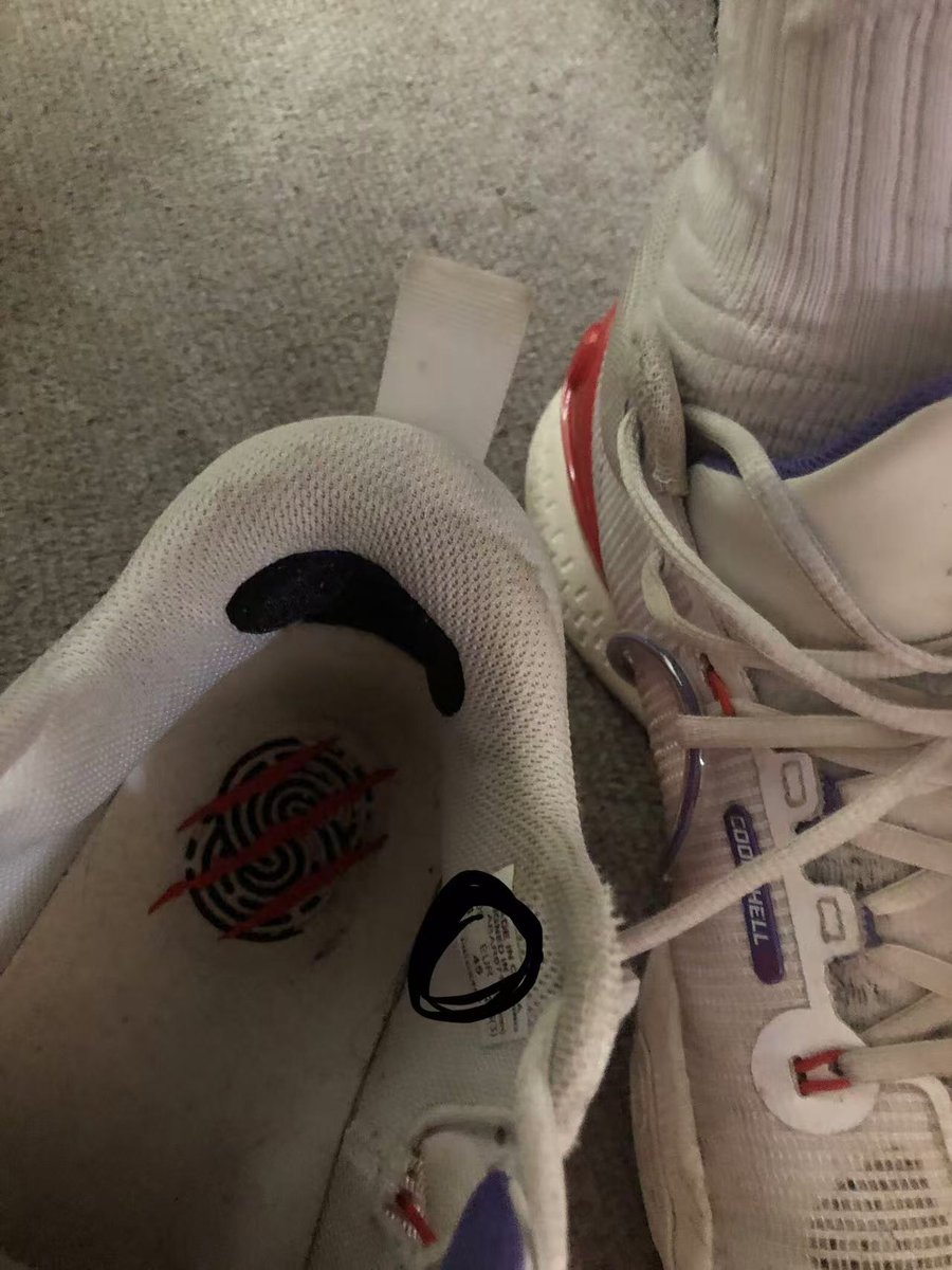 小骚狗快来主人鞋子里住吧😋