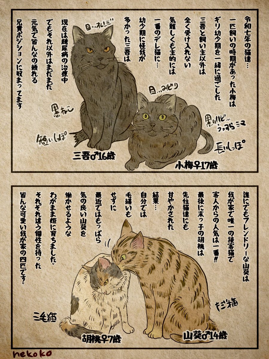 「縁あって猫と暮らしてます」1

1回目は初めましてと言う事で
一緒に暮らしてる4匹の猫達との
出会いと現在を、少し長いですが
描かせて頂きました。

ツリーに続きます

#漫画が読めるハッシュタグ
#エッセイ漫画 #猫
#第4回猫コミ新人賞