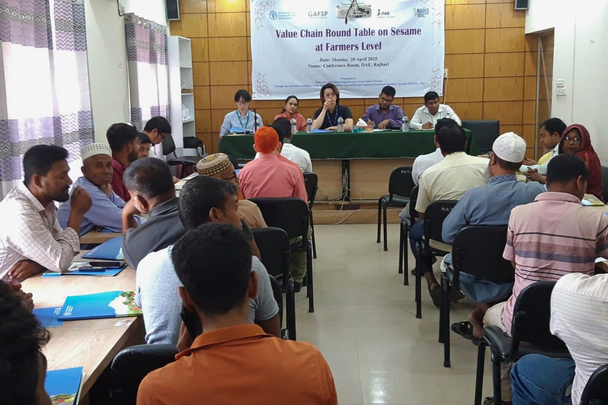 FAOBangladesh's tweet photo. In Rajbari, #RAINS project roundtables are connecting sesame farmers with buyers &amp; govt partners - boosting incomes, reducing losses &amp; promoting climate-smart farming. A step toward a more profitable and inclusive agri system. #FAOBangladesh #IFAD #GAFSP #BetterProduction https://t.co/QrxgqcSs5Q