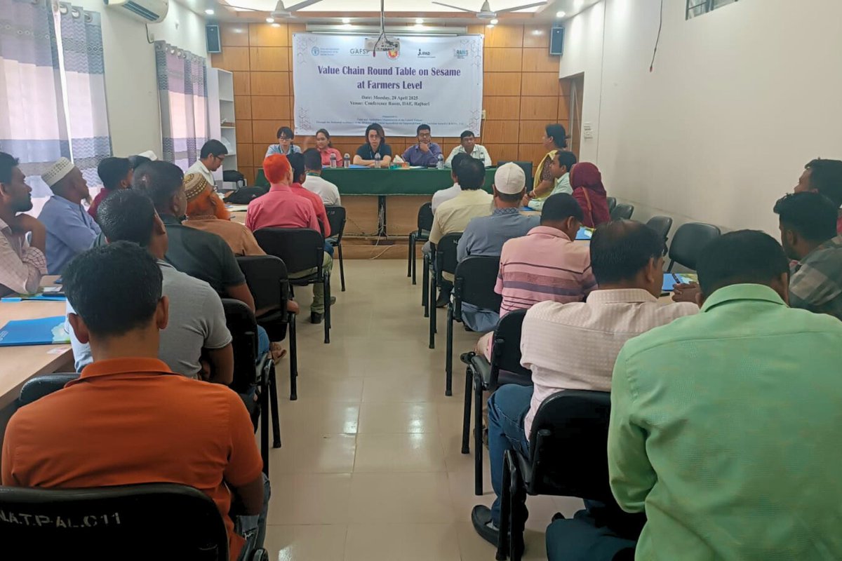 FAOBangladesh's tweet photo. In Rajbari, #RAINS project roundtables are connecting sesame farmers with buyers &amp; govt partners - boosting incomes, reducing losses &amp; promoting climate-smart farming. A step toward a more profitable and inclusive agri system. #FAOBangladesh #IFAD #GAFSP #BetterProduction https://t.co/QrxgqcSs5Q