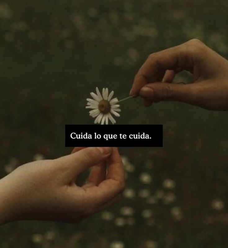 #CementerioDelAlma ❤️‍🩹