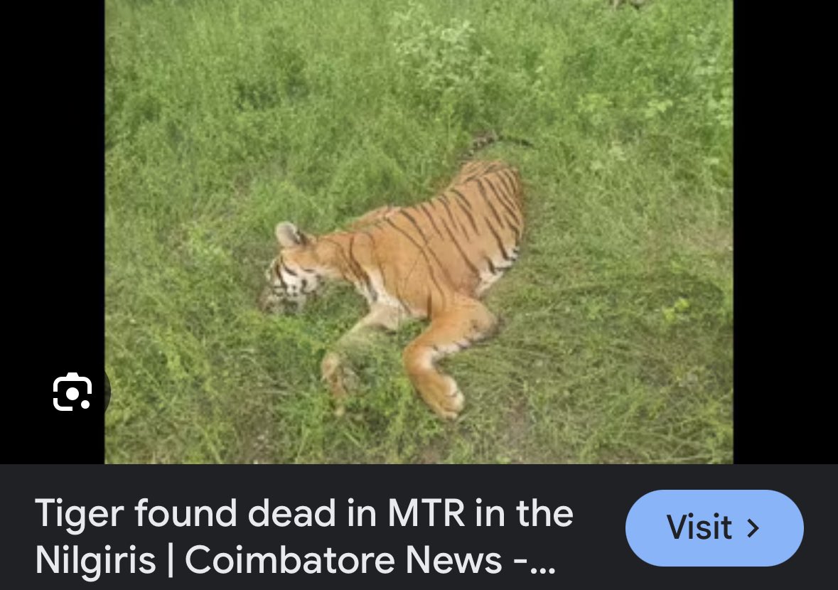 Phillip Nightcastle tweet media