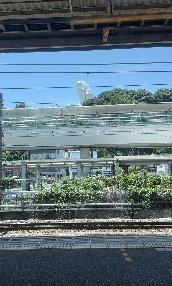 syringe29's tweet photo. 湘南新宿ラインで向かってます🚃

#西野カナ_全国アリーナツアー2025 
#西野カナ 
#さいたまスーパーアリーナ https://t.co/xXMyKsMtAd