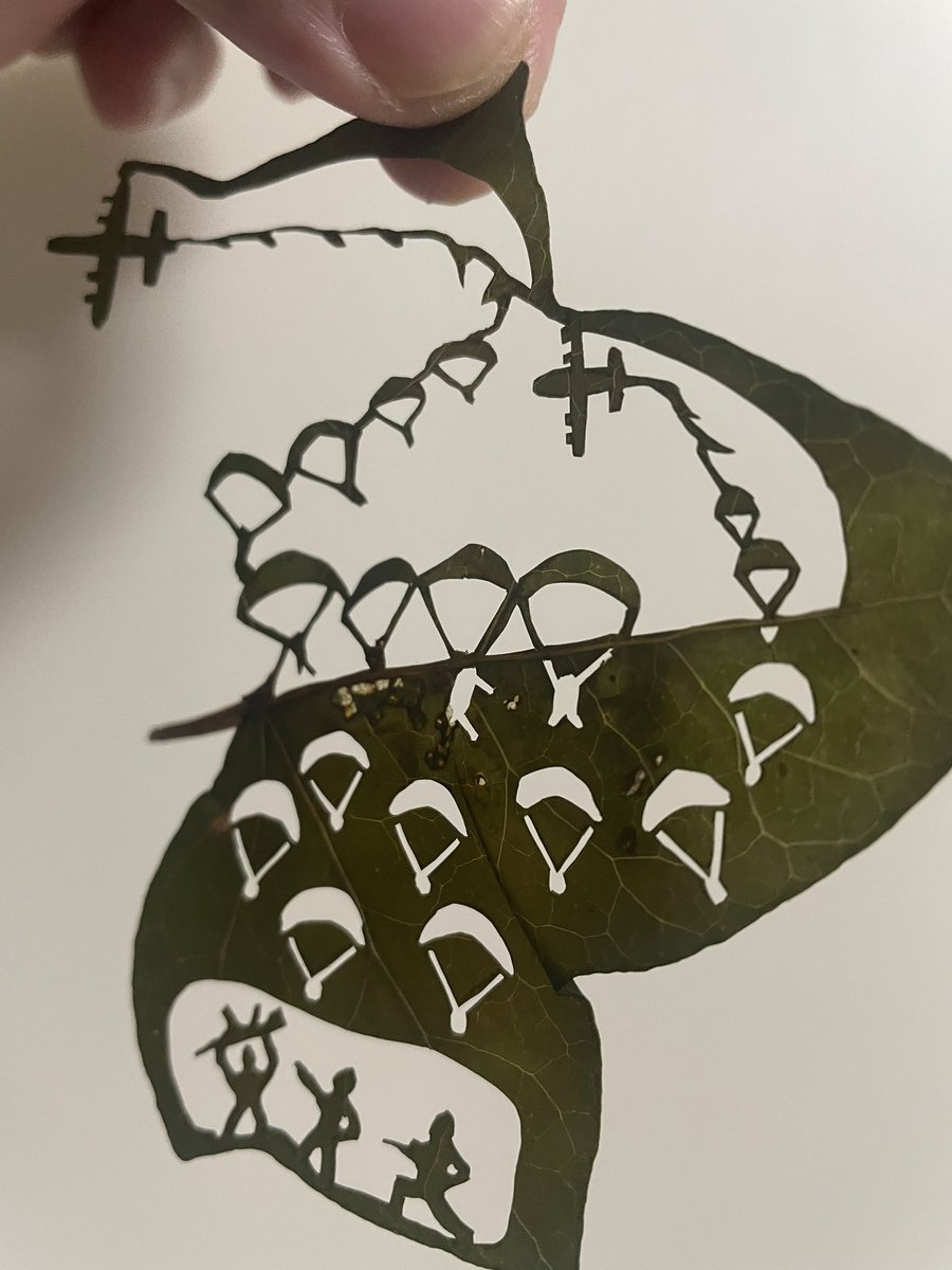Rui_leafworld's tweet image. こんにちは😃皆さま❗️
暑さに負けないパラトゥルーパー🪂🪂横田基地祭が懐かしい
若干ト◯ストーリー感が漂いますが、完成🎉
#C130 #横田基地
