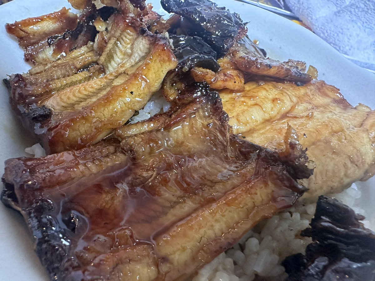 SABORNtoDAI's tweet photo. 相変わらず遅めのスタートですが…
コブダイ！たこ！うなぎ！
初夏を満喫しております！ https://t.co/5kZqlKKrnd