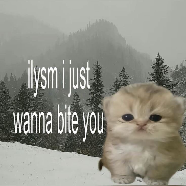 ♡ (@softheavens) on Twitter photo 