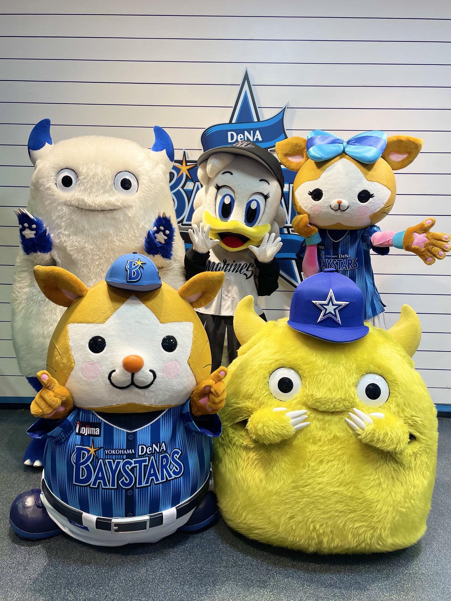 マーくん(千葉ロッテマリーンズ) on X: 