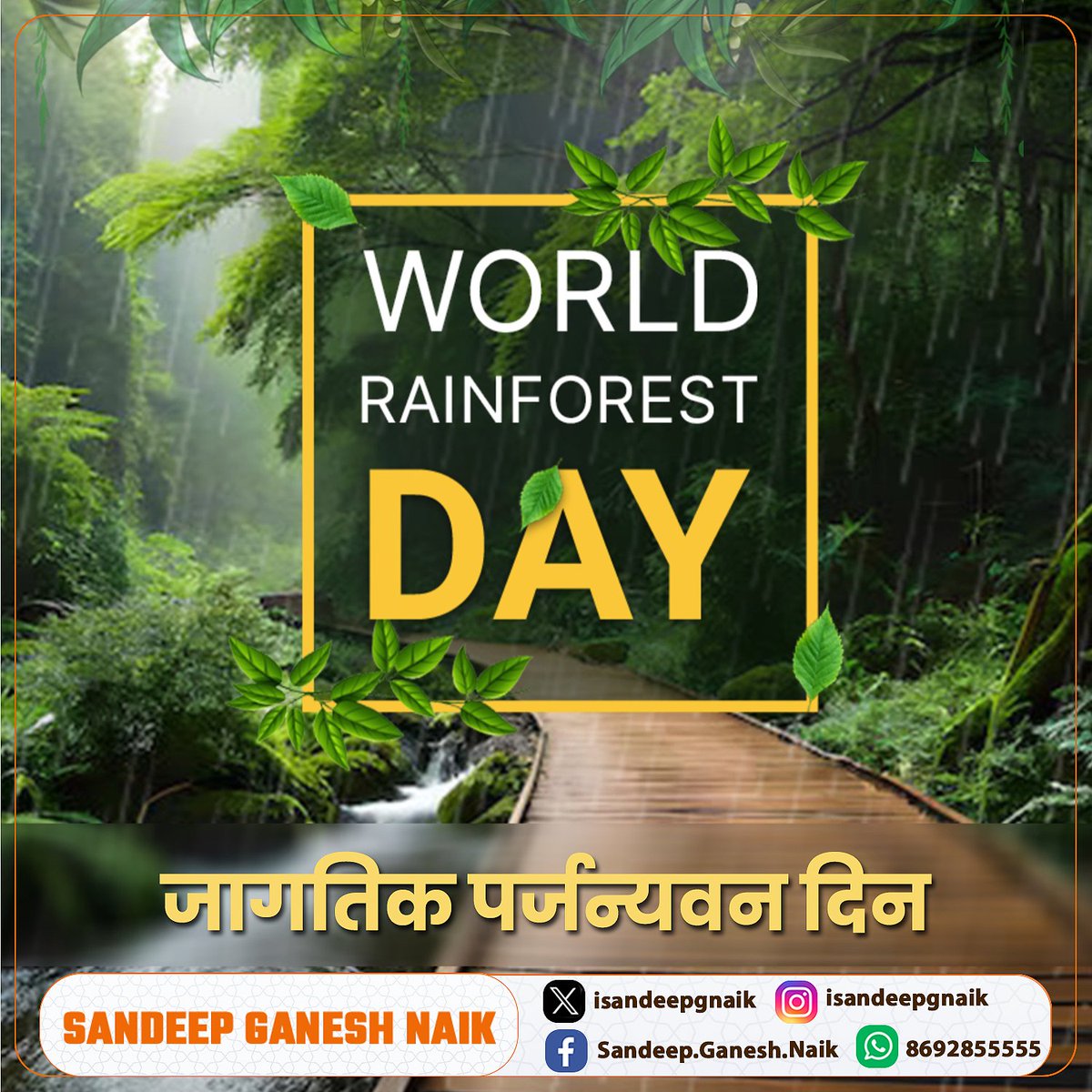 On #WorldRainforestDay, let’s raise our voices for the planet’s lungs!

Rainforests clean our air, cool our planet, and give life to millions of plants and animals. Let’s plant more, protect more, and waste less.

#SaveOurRainforests