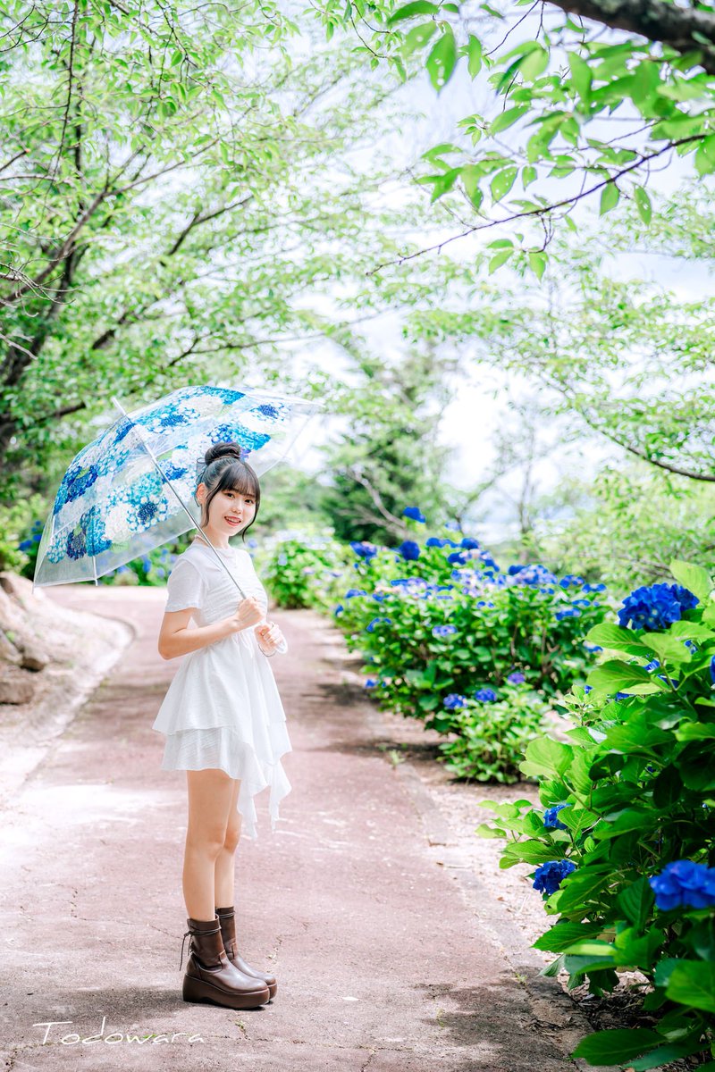 ねねちゃん(<a href="/NENE__57/">NENE☆</a> )

紫陽花💠

#ssb #ねね #jc3 #スタライ長崎 #長崎超絶美少女隊 #紫陽花傘フォトコン2025
