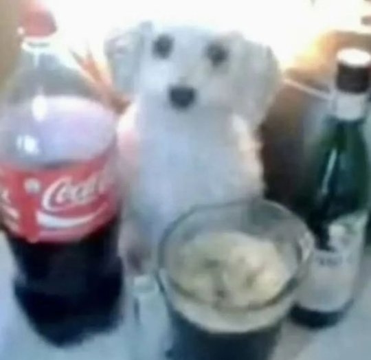 awadeNico tweet media