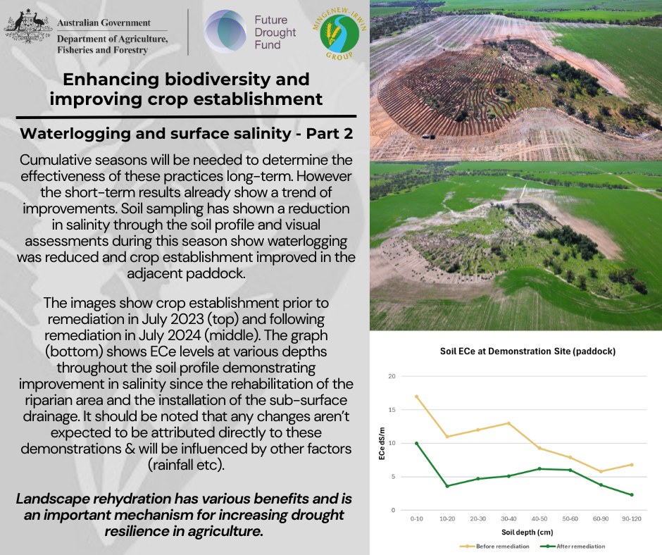 Mingenew Irwin Group tweet media