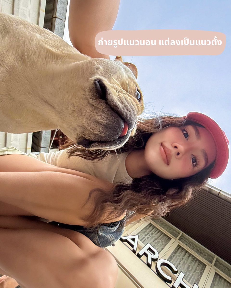 อาชิตา tweet media