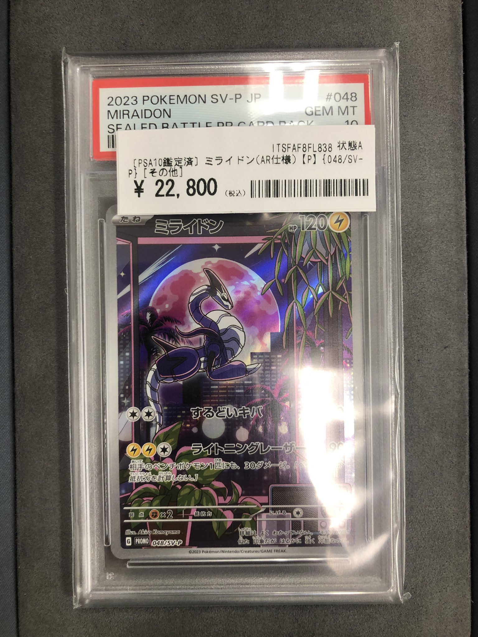 【新発売】 カードコレクト秋葉原@ポケモンカード Pokemon 旧裏 買取 PSA ポケモンカードゲーム