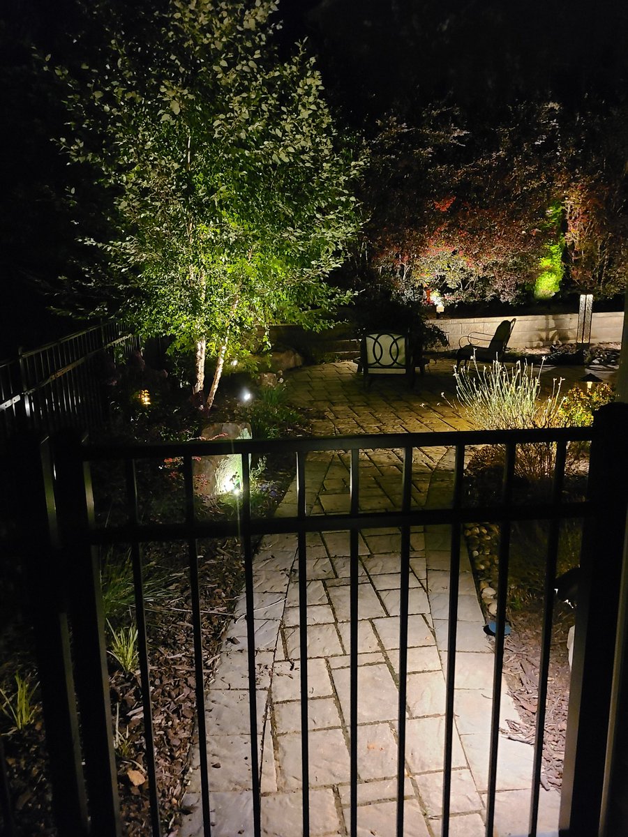 HokiePolkie tweet media