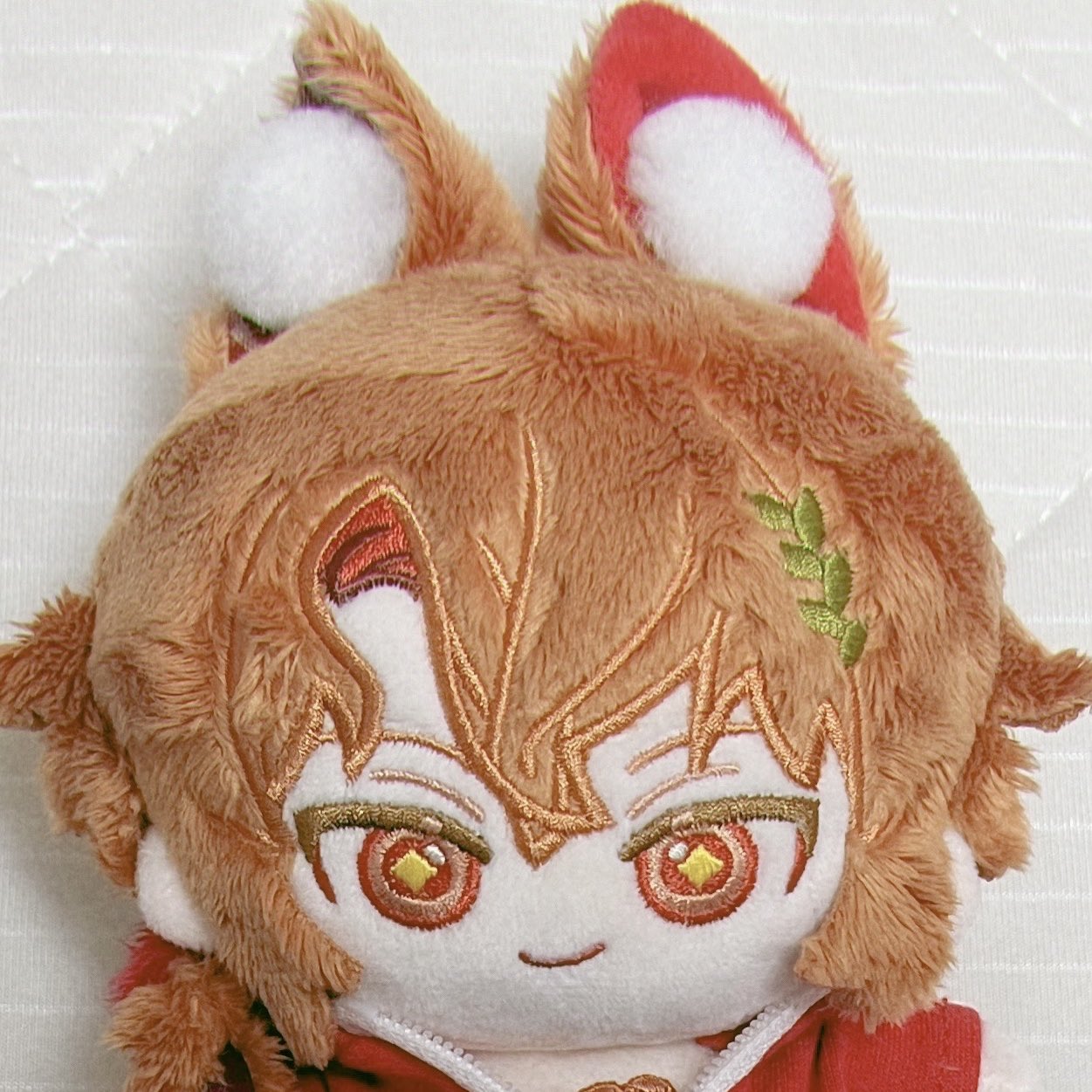 ふかとん (@cat_dog_rabbit_) / X