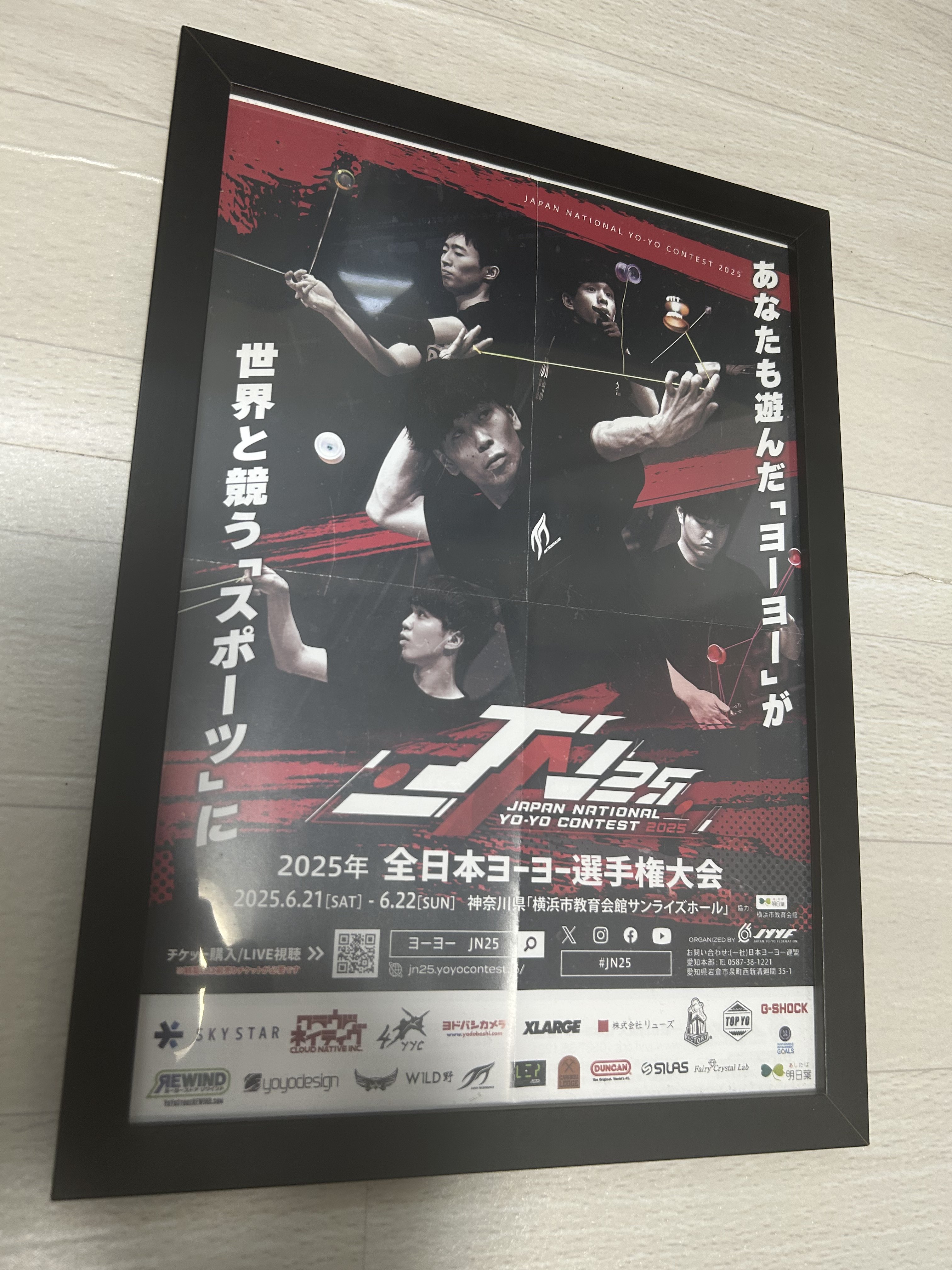 最終価格】ソラニン A2ポスター