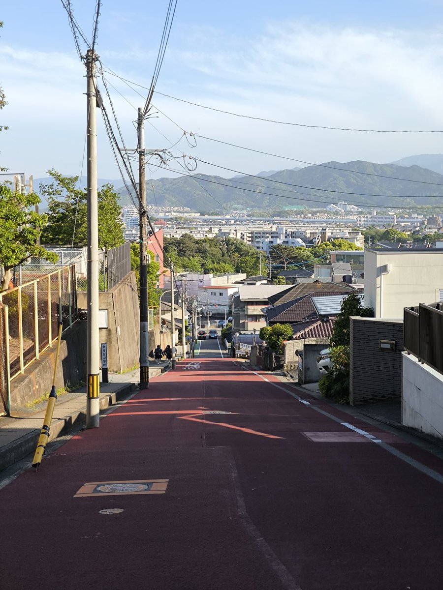 iiroji_bot's tweet image. 