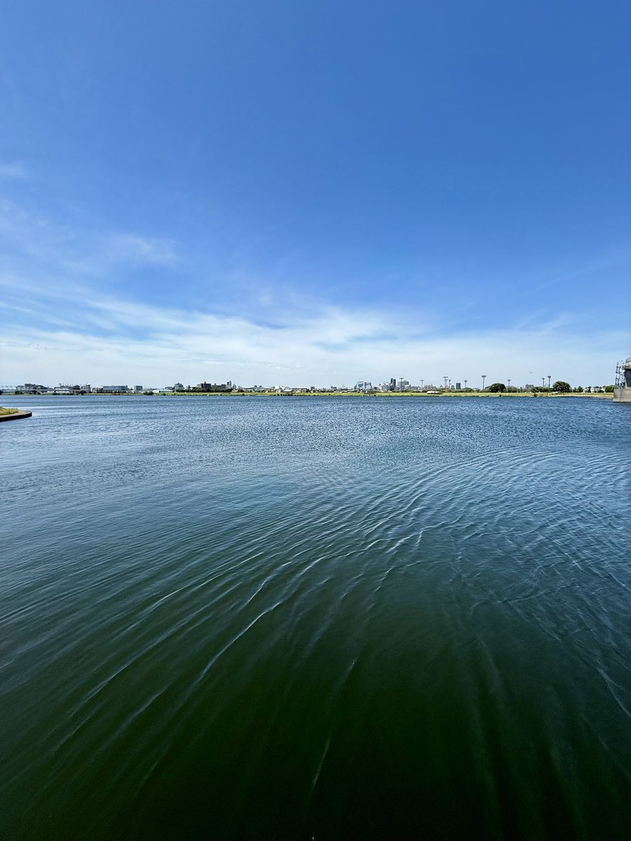 多摩川はほぼ夏。あと足りないのはセミくらい。セミリーチ。