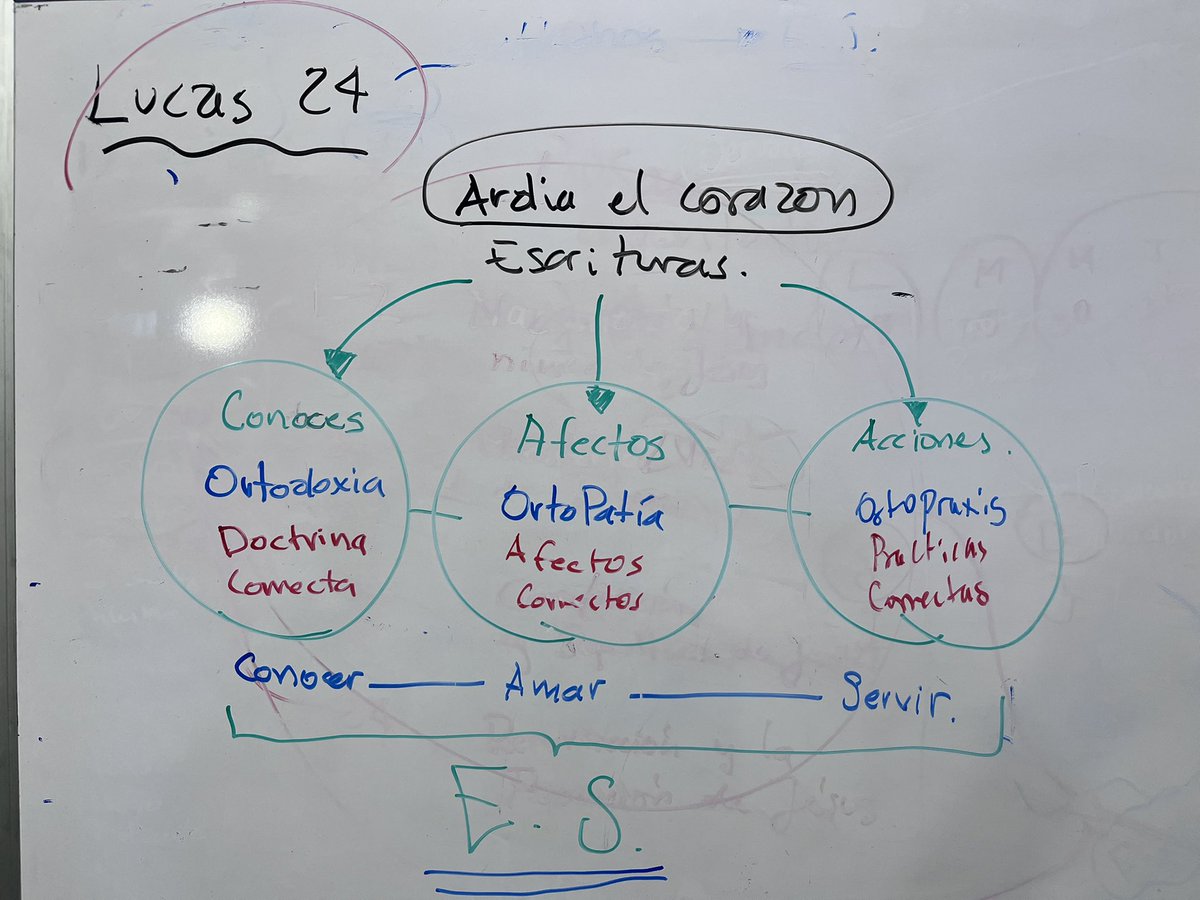 Qué hermoso es estudiar con la Iglesia local.