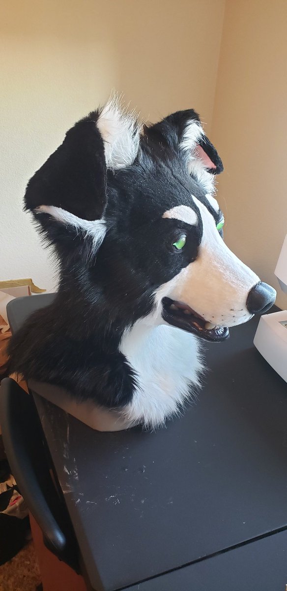 Finished this handsome pup for <a href="/SkuwuWoof/">Dog Stink</a>!

Features:
<a href="/crystumes/">𝓒𝐫𝐲𝐬𝐭𝐮𝐦𝐞𝐬 𝓒𝐨𝐬𝐭𝐮𝐦𝐞𝐬 🌌</a> base and parts
<a href="/DvC_Ciara/">DreamVision Creations ⏩ TFF</a> nose and padding 
Full lining
Powerful muzzle fan
Zipper closure
Adjustable elastic