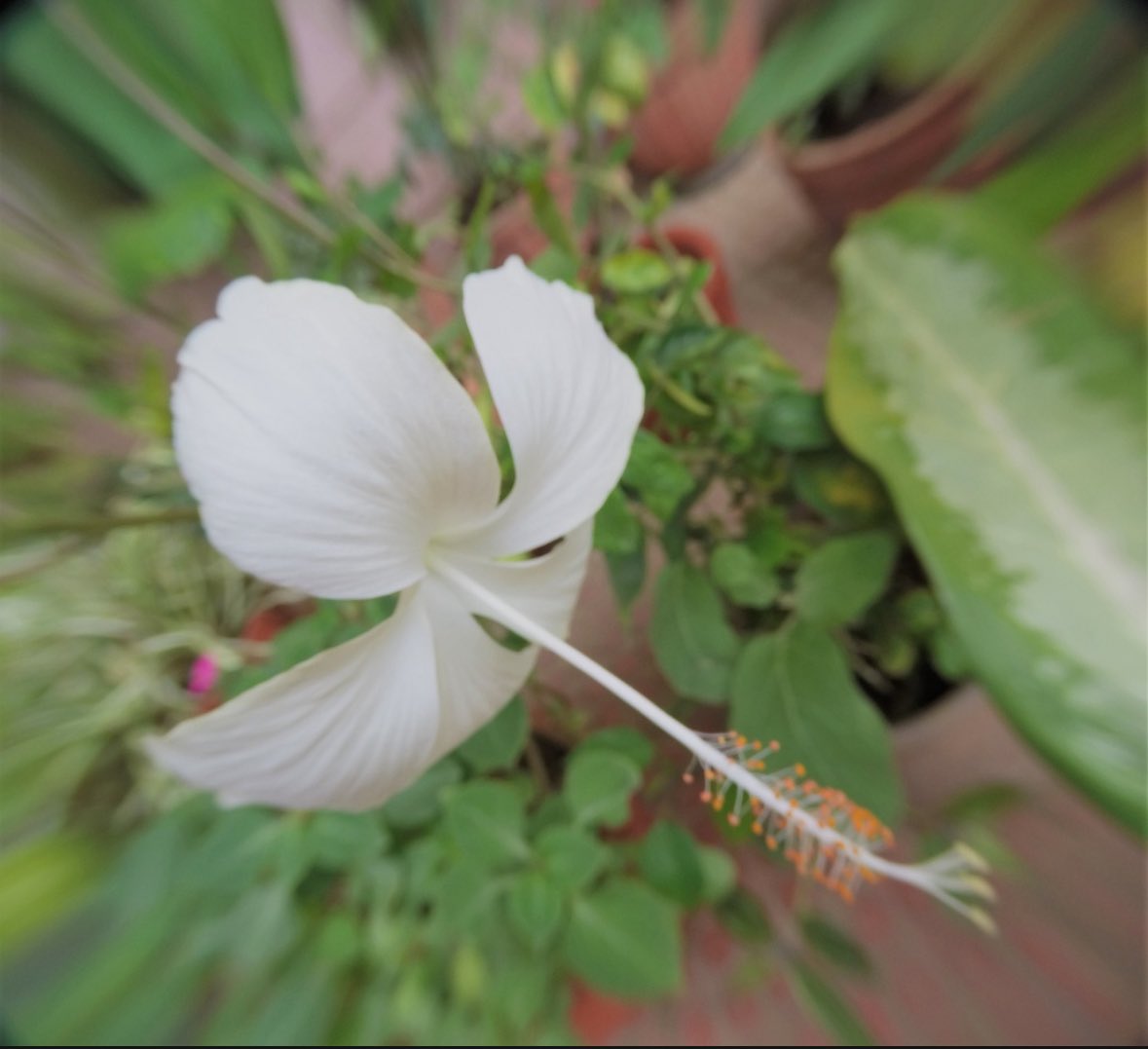 Good Morning Bengaluru