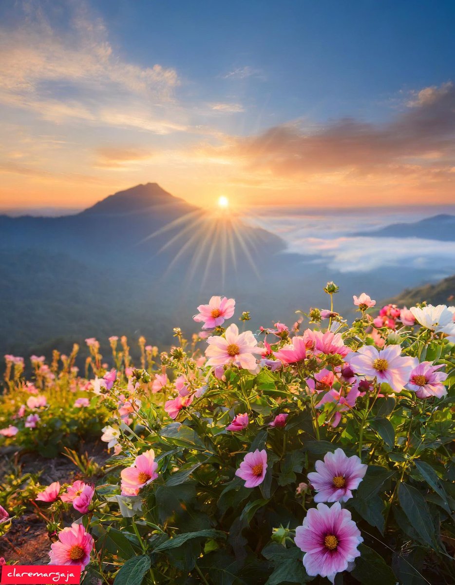 Good Morning Everyone ..🌸🌸🌞🌸🌸
