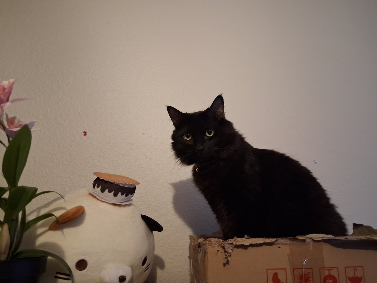 Crossure | COMMS OPEN (@crossurex) on Twitter photo 