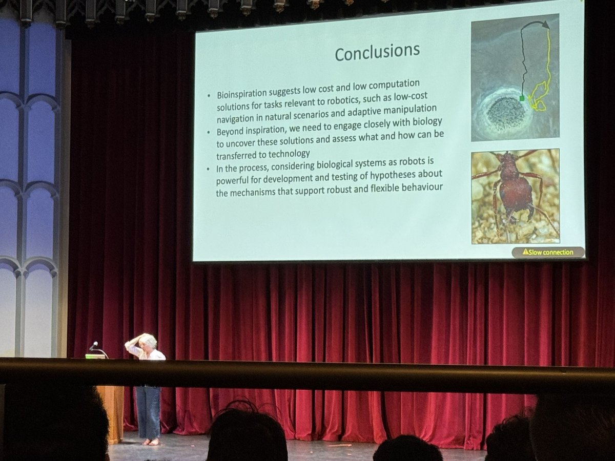 RubyFreax's tweet image. inspired talk! #RSS2025