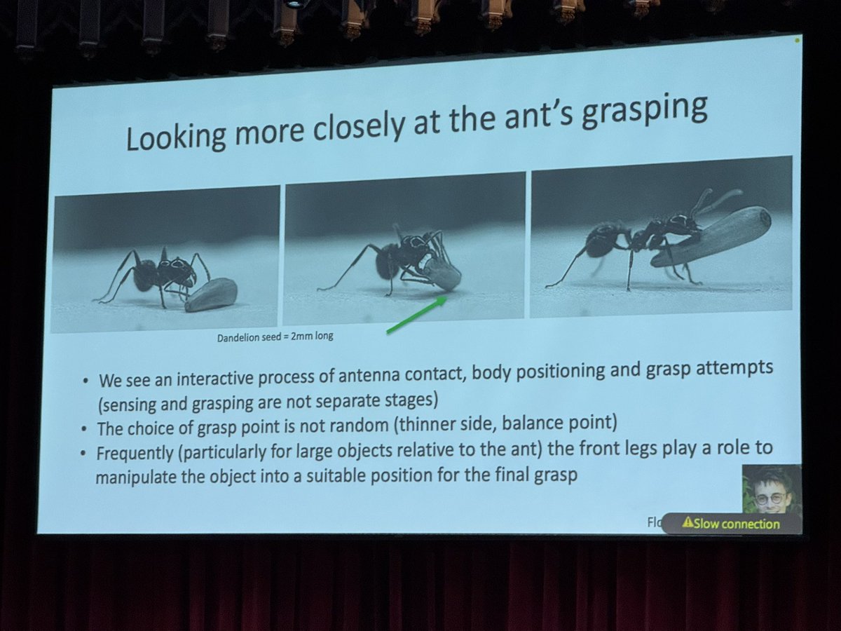 RubyFreax's tweet image. inspired talk! #RSS2025